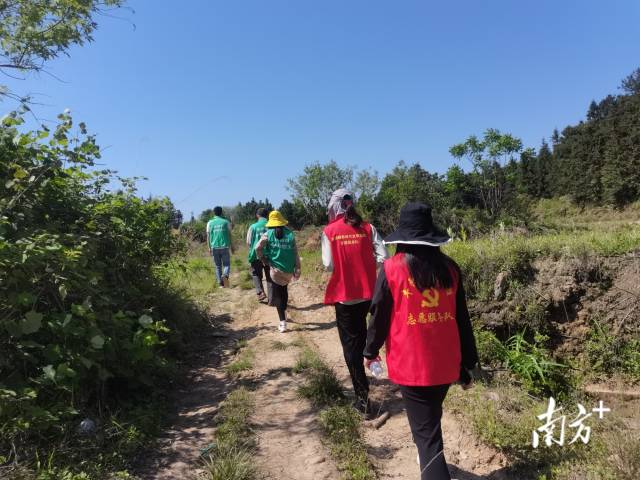 豐陽鎮(zhèn)的440余名黨群志愿者堅守先鋒崗，守護豐陽的綠水青山。
