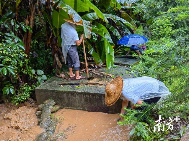 為保障陂嶺近三分之二村民用水，陂嶺村新老干部冒雨前往水源點(diǎn)解決集中供水問(wèn)題。