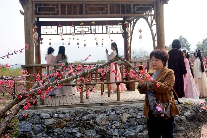 桃花節(jié)在九陂鎮(zhèn)開幕，迎來八方游客。清遠(yuǎn)日報記者 周璐攝。